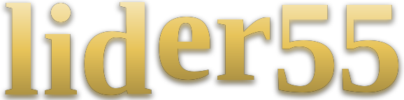 lider55 logo